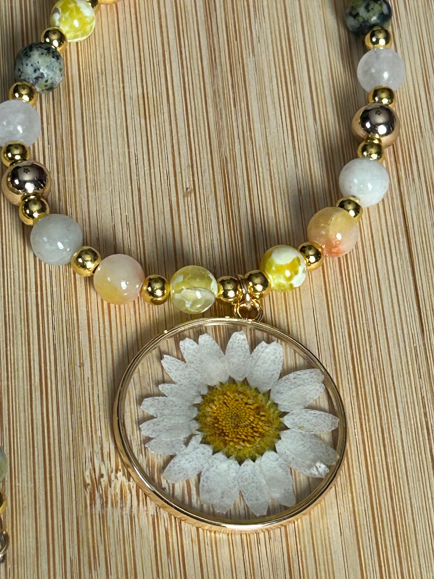Sun Drenched Daisy