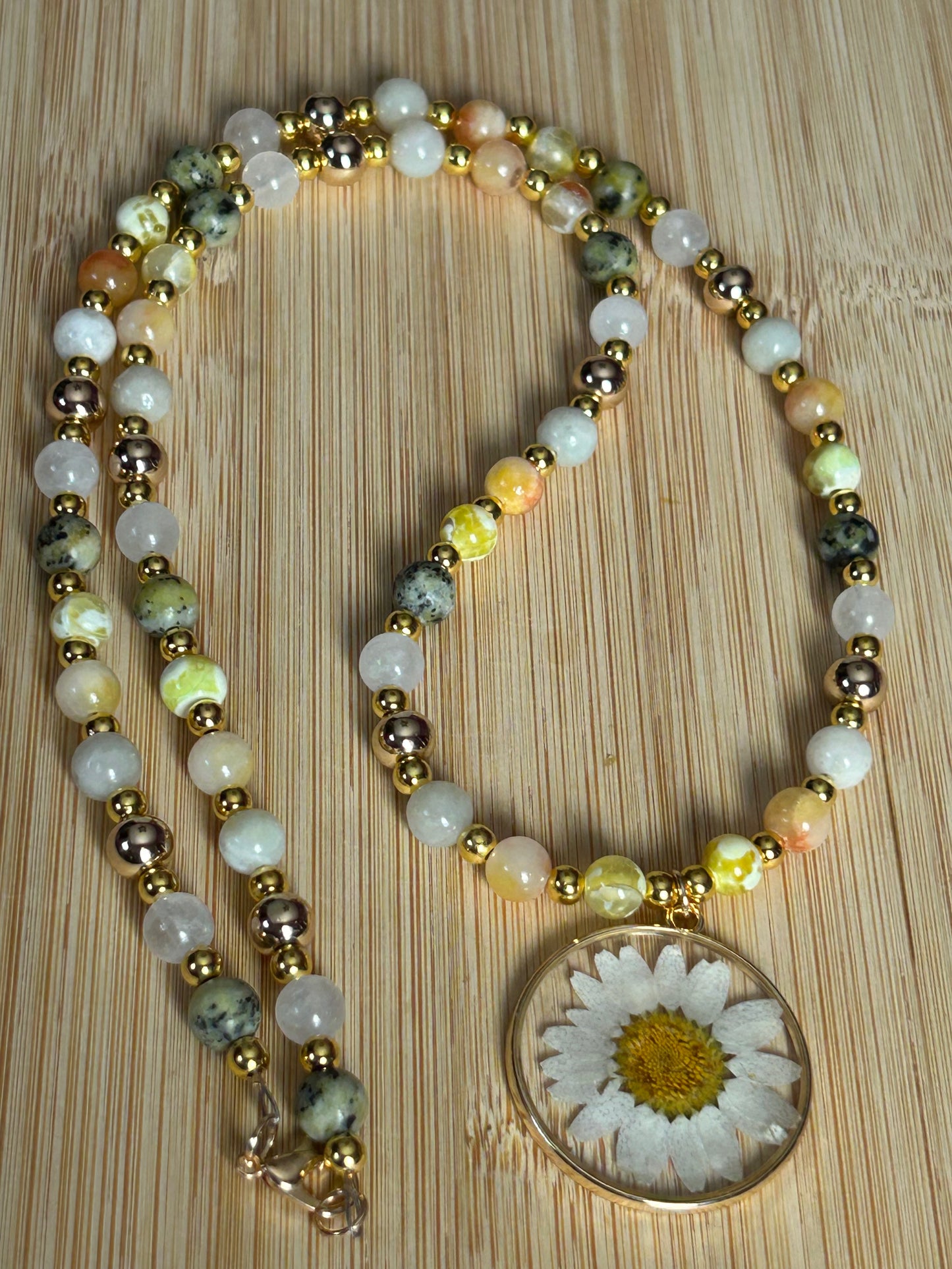 Sun Drenched Daisy