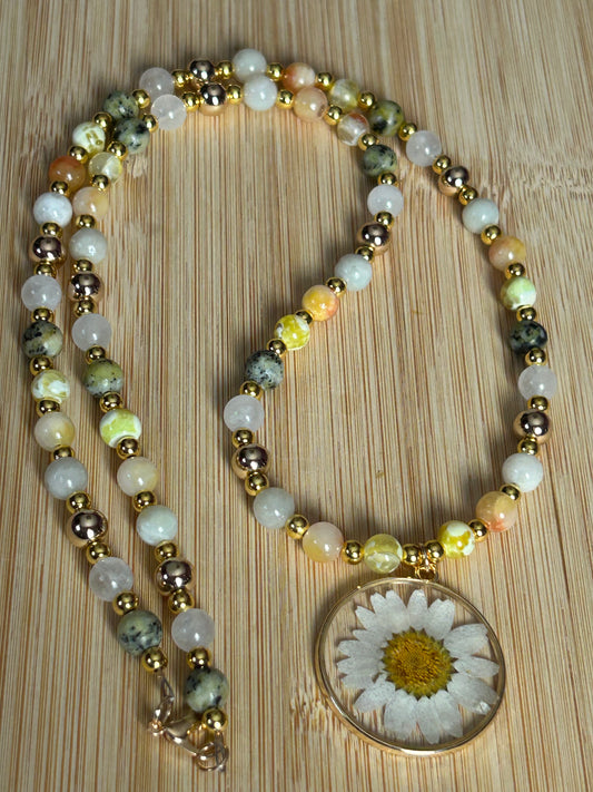Sun Drenched Daisy